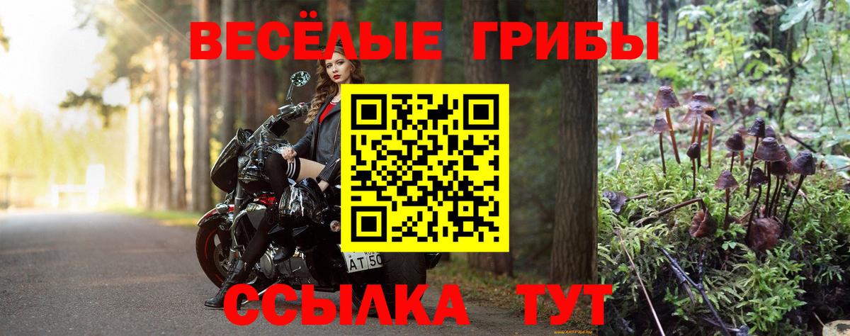 Галлюциногенные грибы мухоморы  Вход с VPN  Уварово  Галлюциногенные грибы ЛСД 